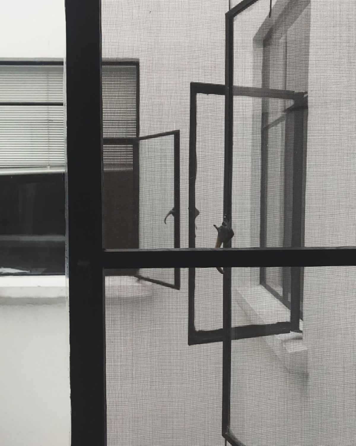 Mosquito net frames