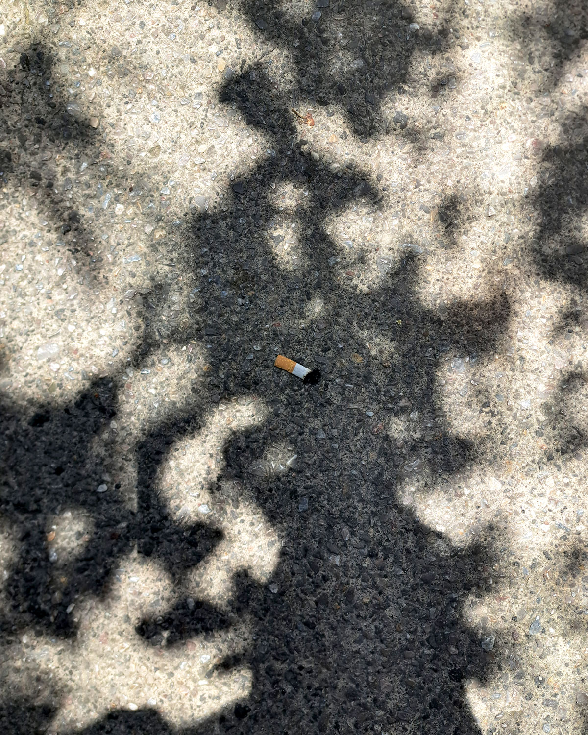 Cigarette butts on the ground photo journal