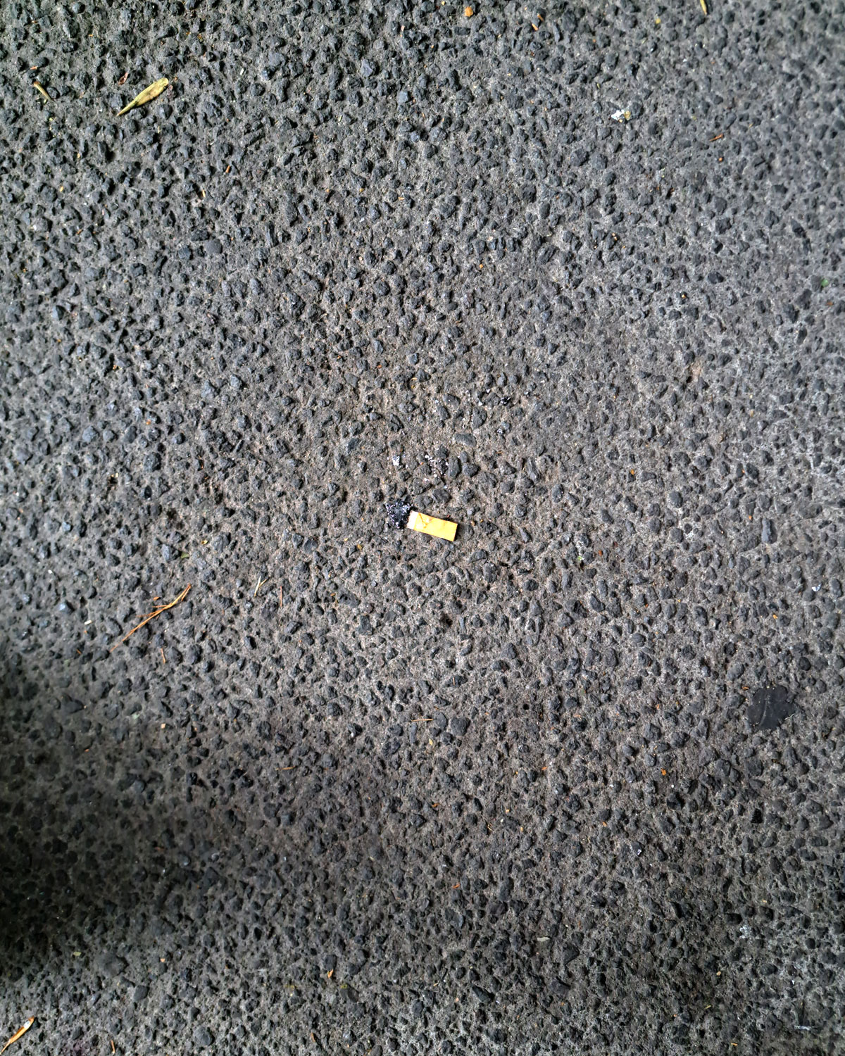 Cigarette butts on the ground