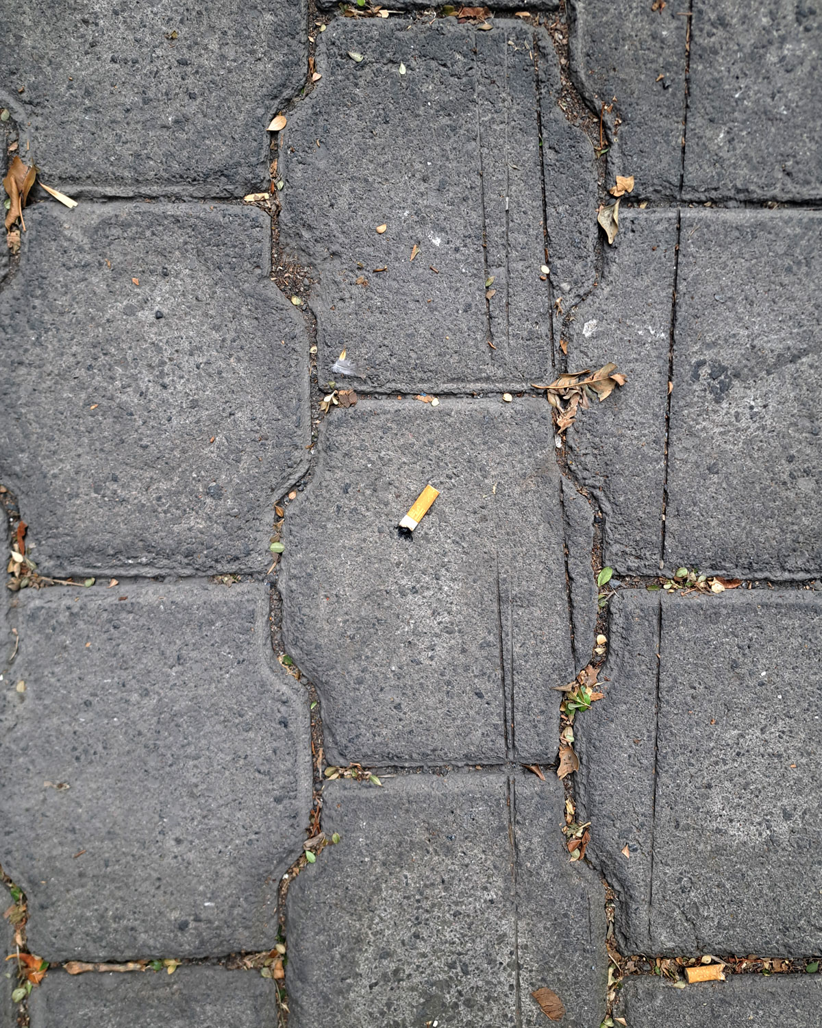 Cigarette butts on the ground