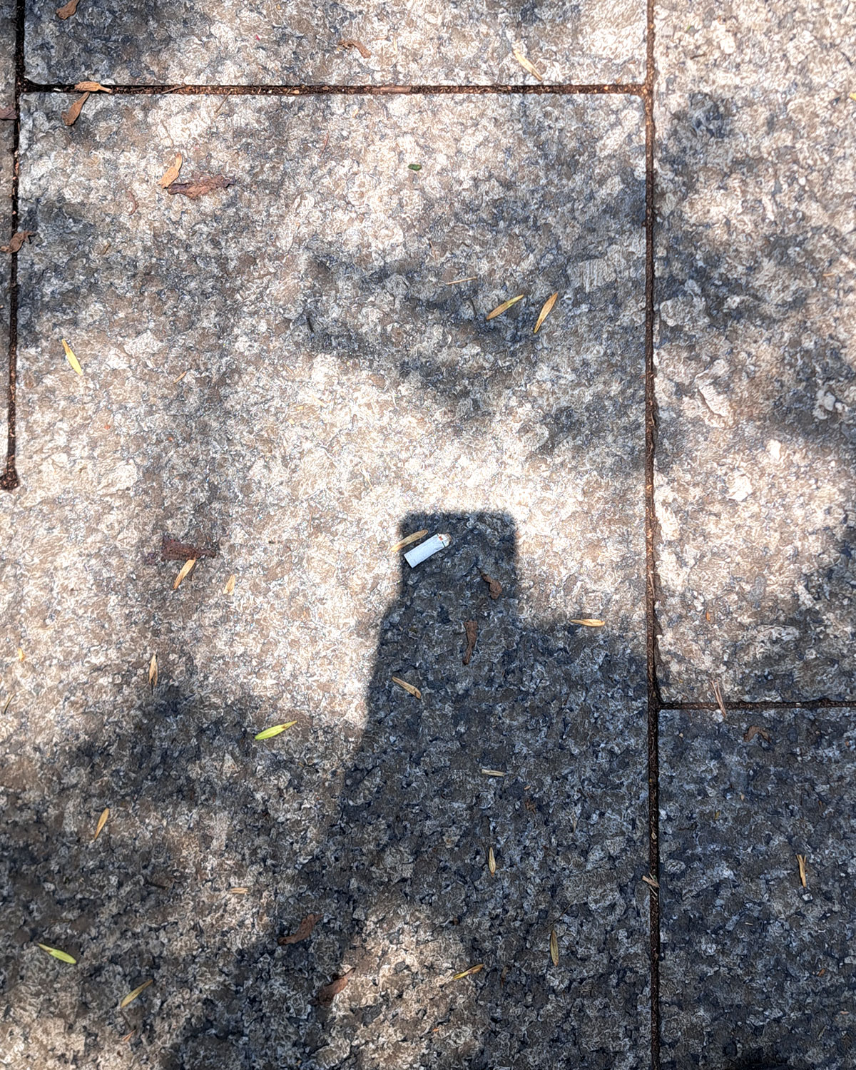 Cigarette butts on the ground