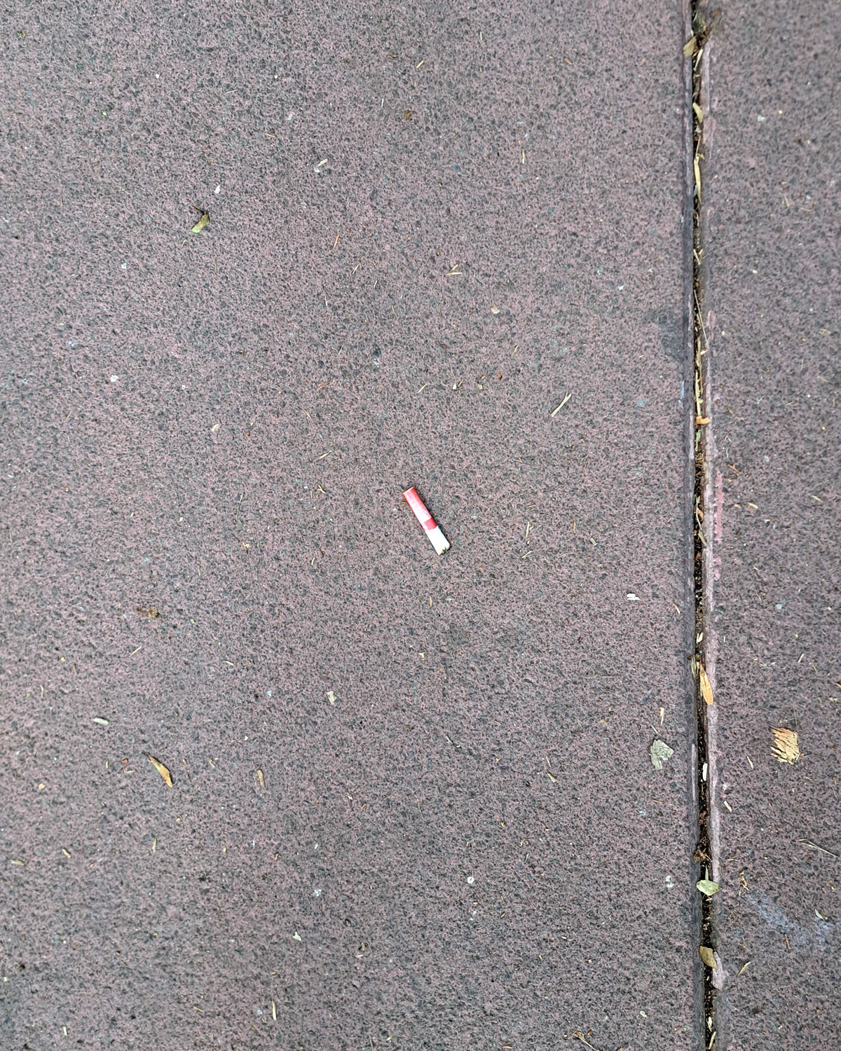 Cigarette butts on the ground