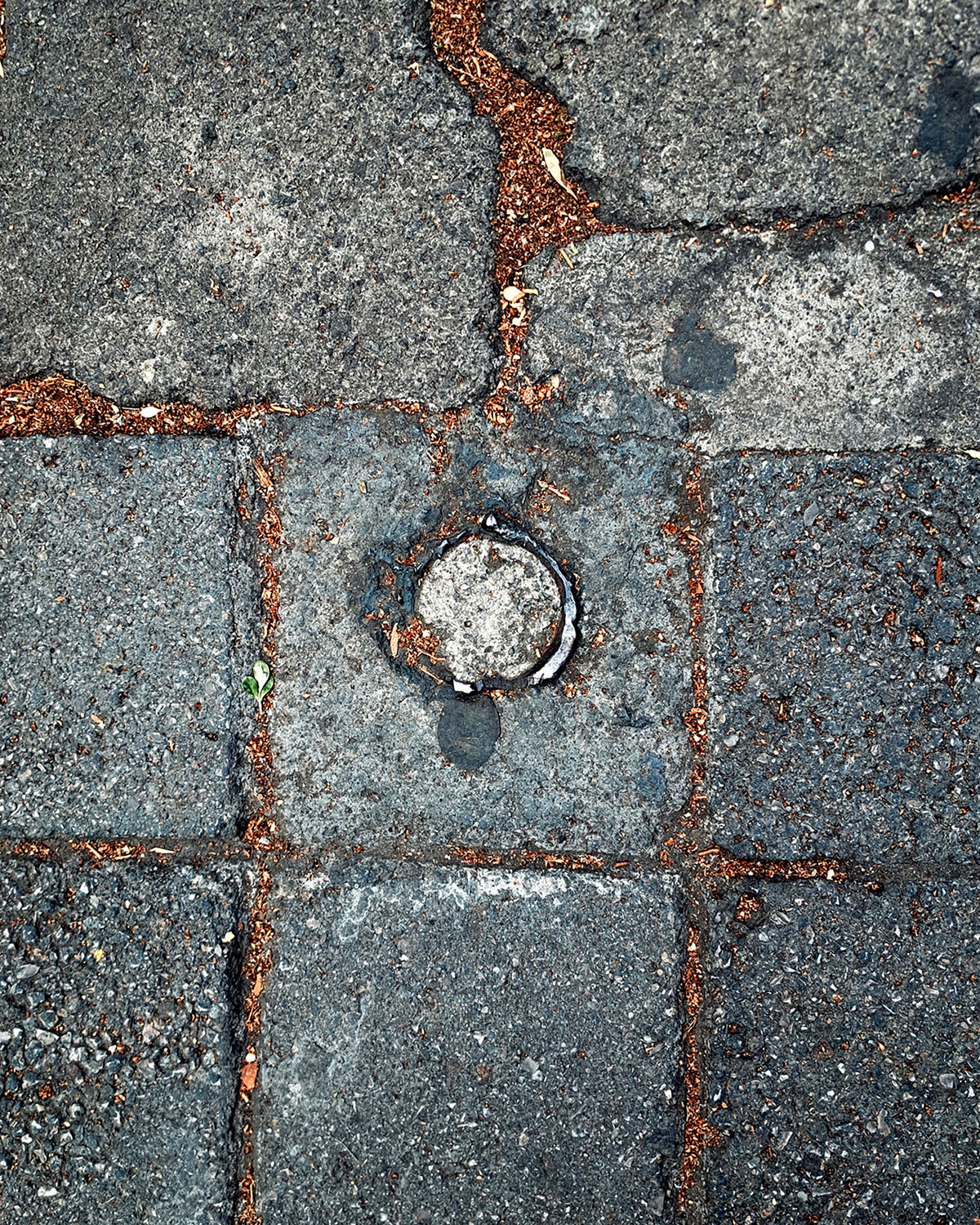 Cut pole, accidental pot photos