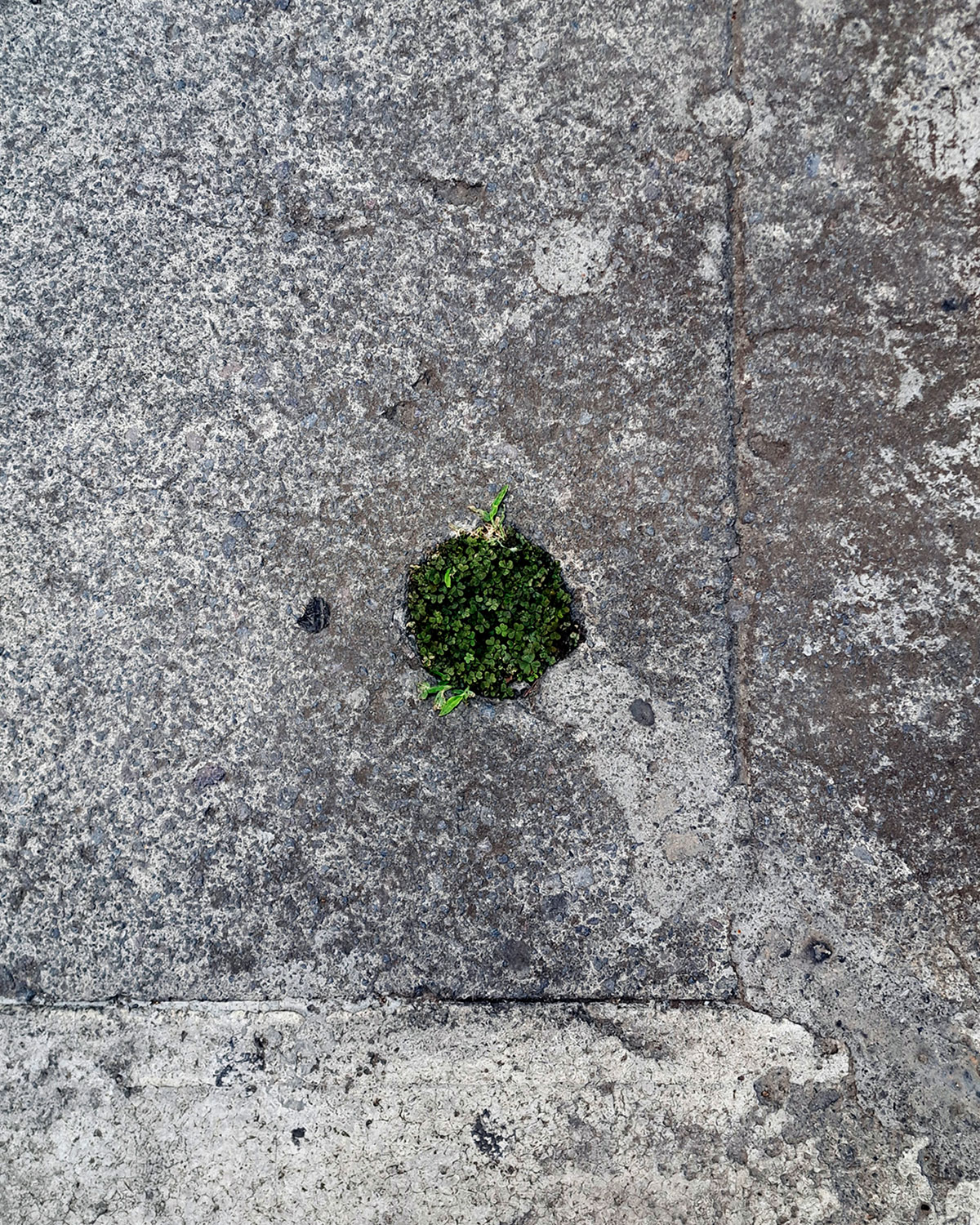 Cut pole, accidental pot