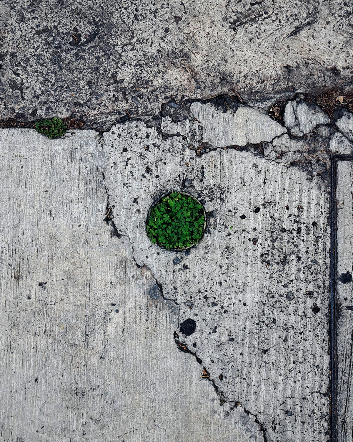 Cut pole, accidental pot