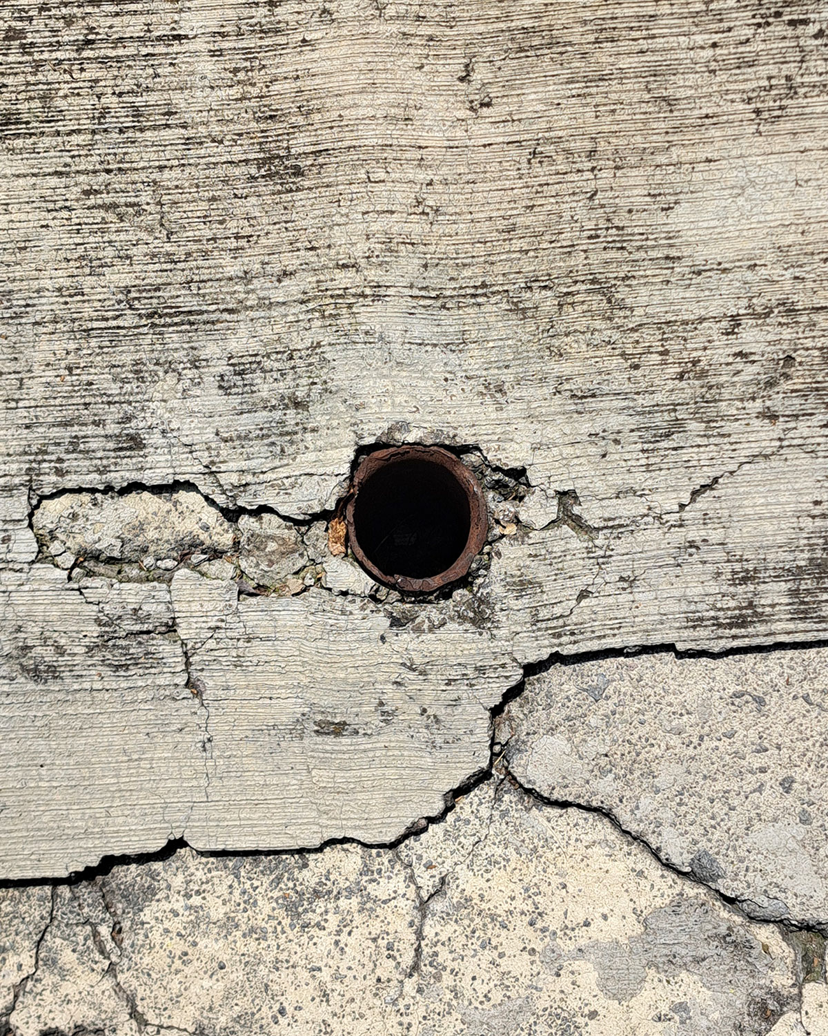 Cut pole, accidental pot photo journal