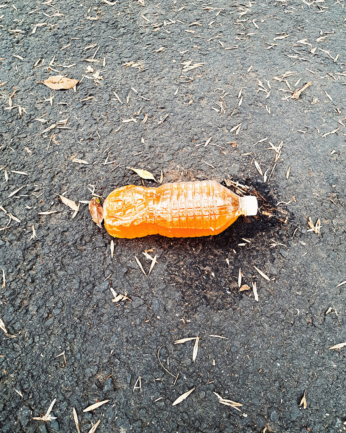 Pee bottles (Ananas) photo journal