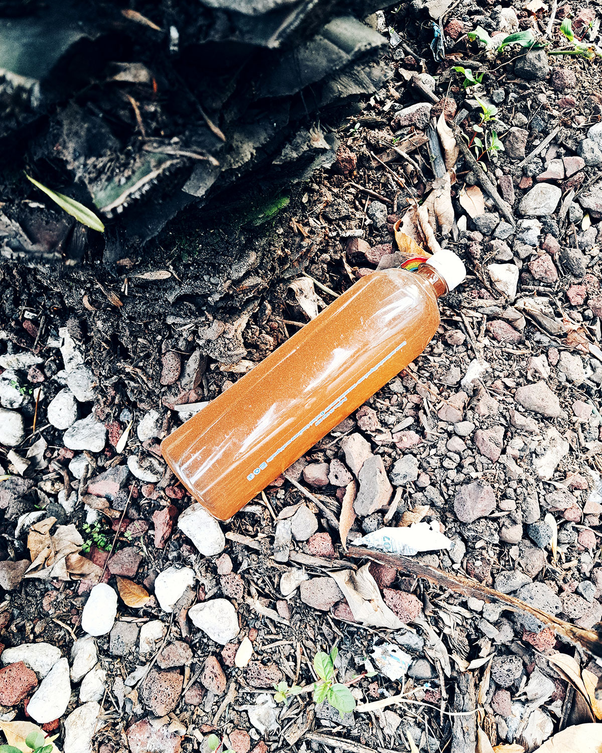 Pee bottles (Ananas)