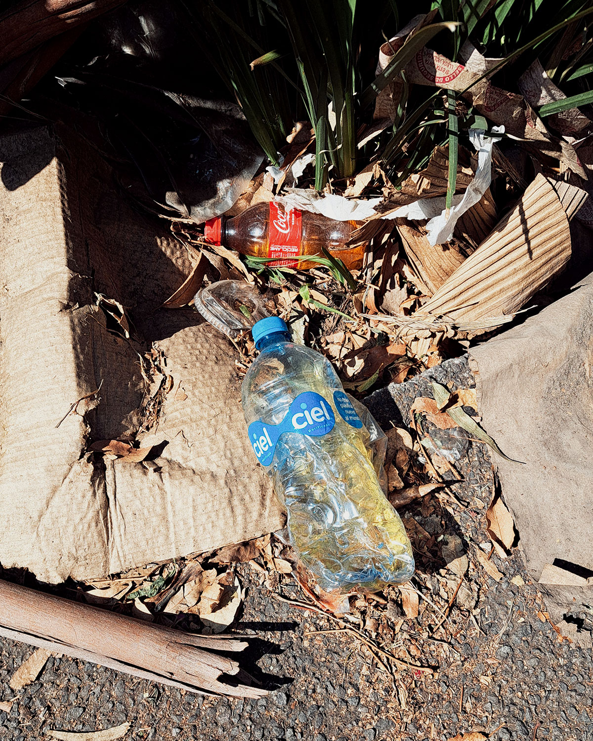 Pee bottles (Ananas)