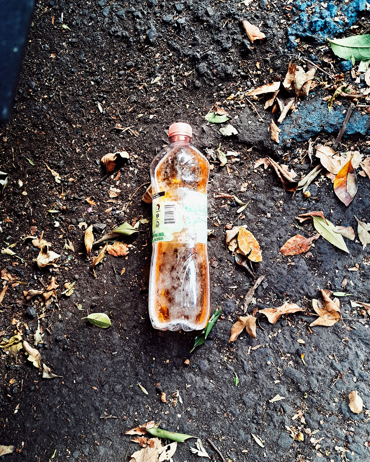 Pee bottles (Ananas)