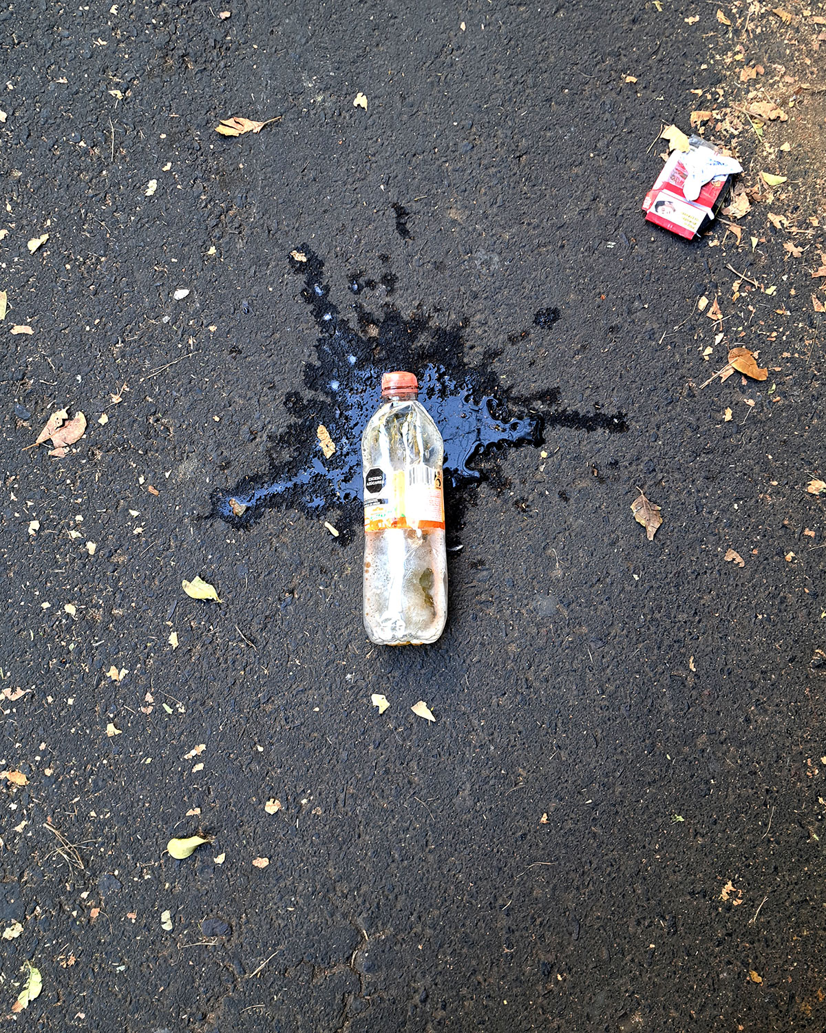 Pee bottles (Ananas)