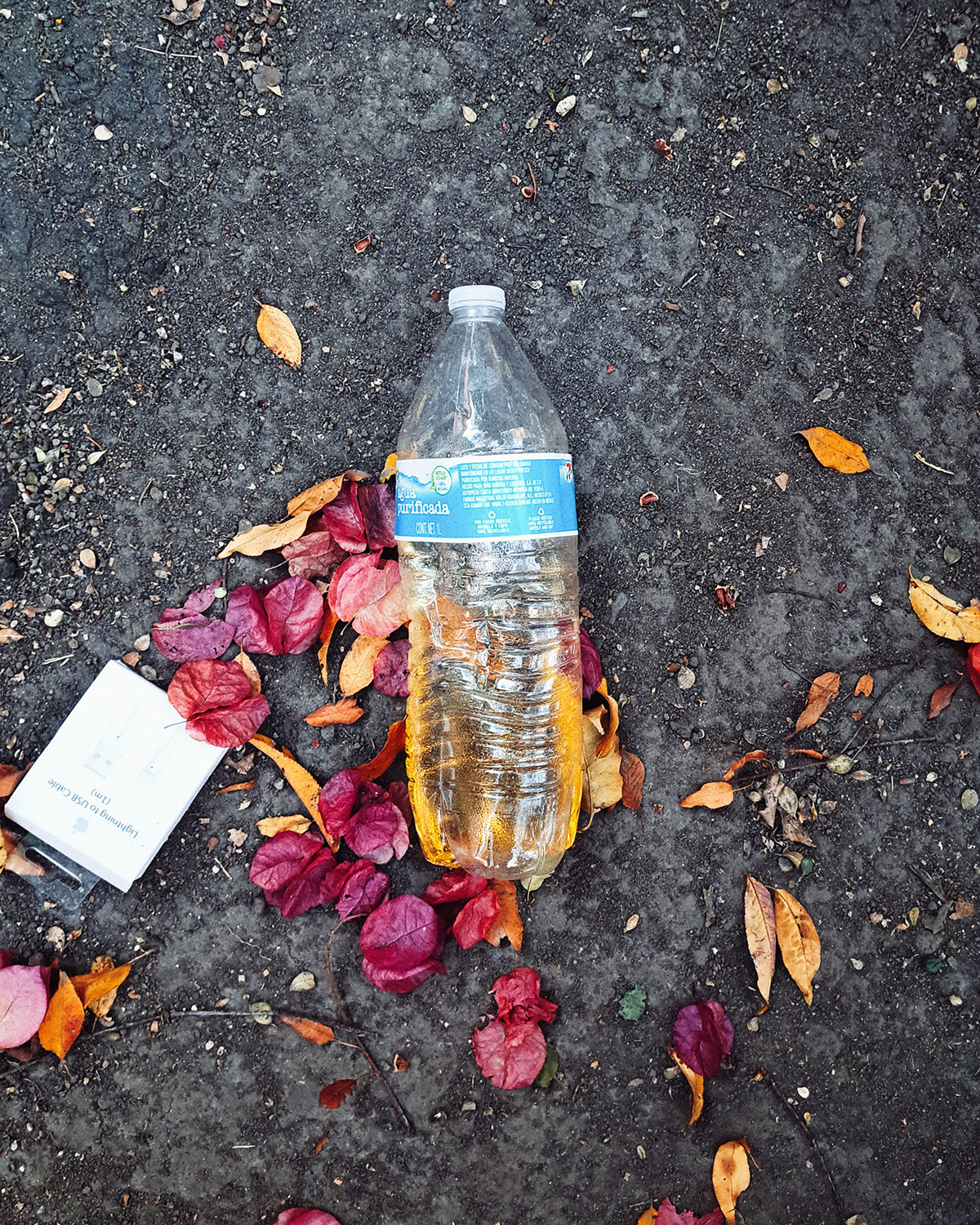 Pee bottles (Ananas)
