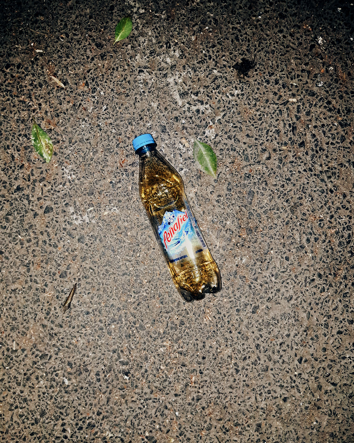 Pee bottles (Ananas)