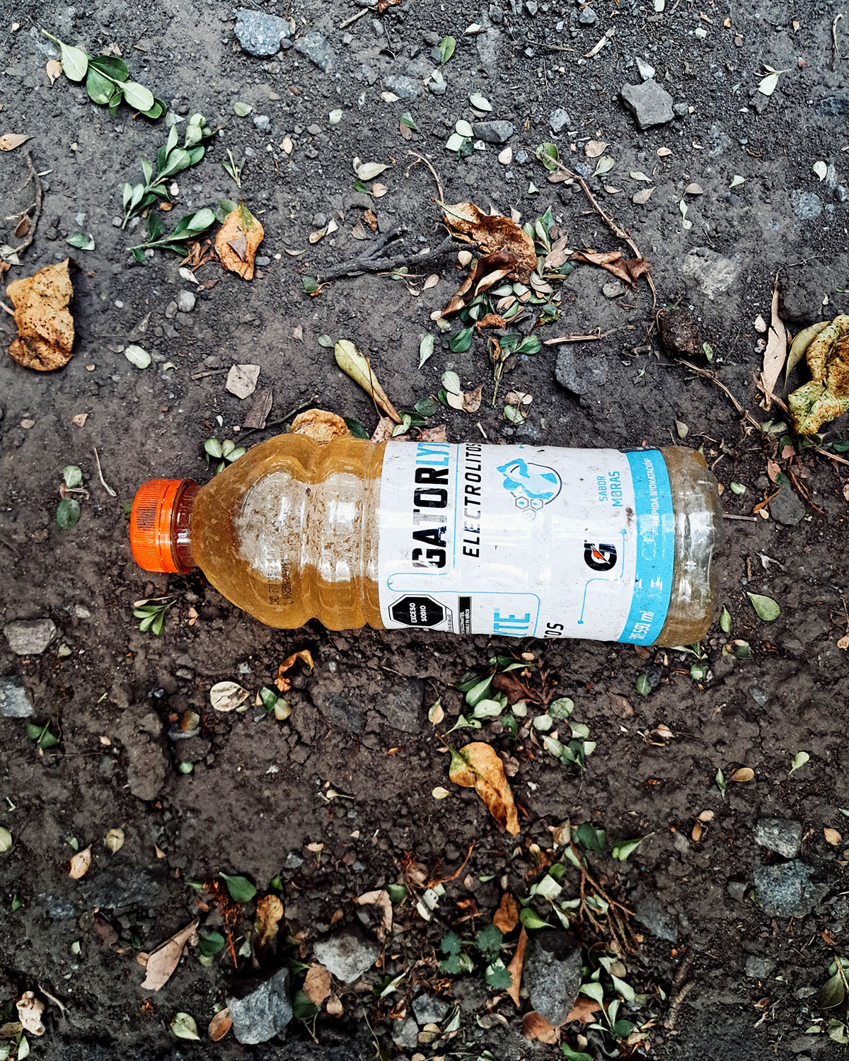 Pee bottles (Ananas)