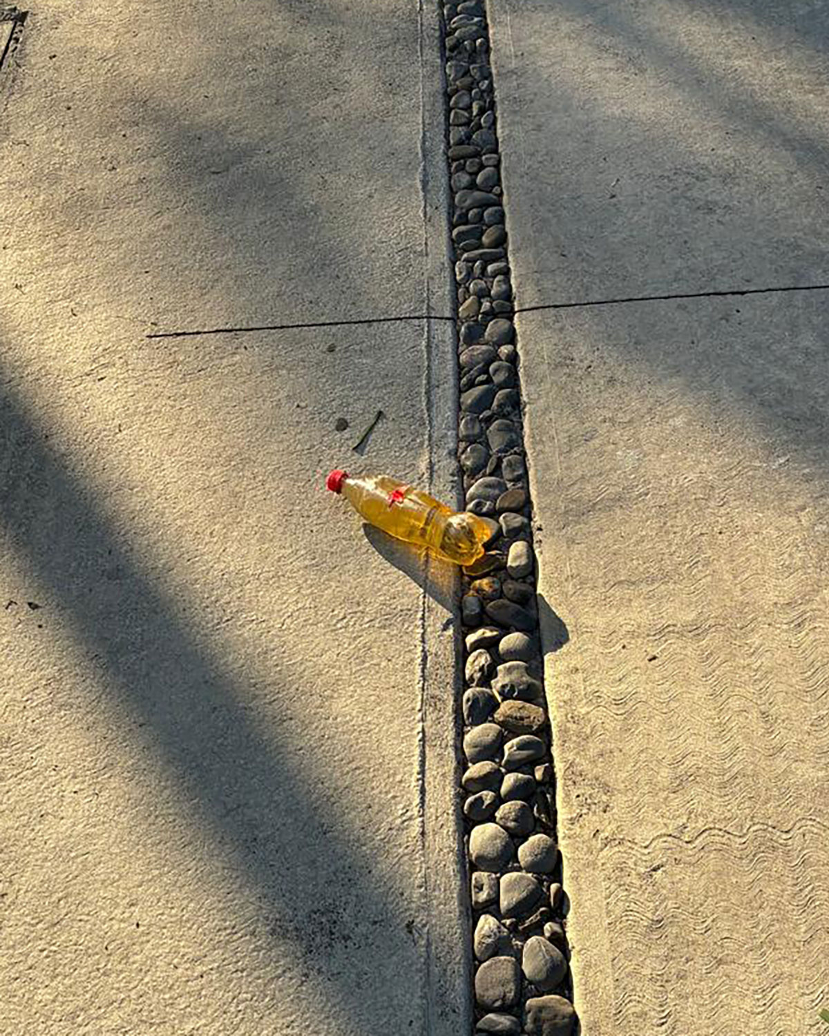 Pee bottles (Ananas)