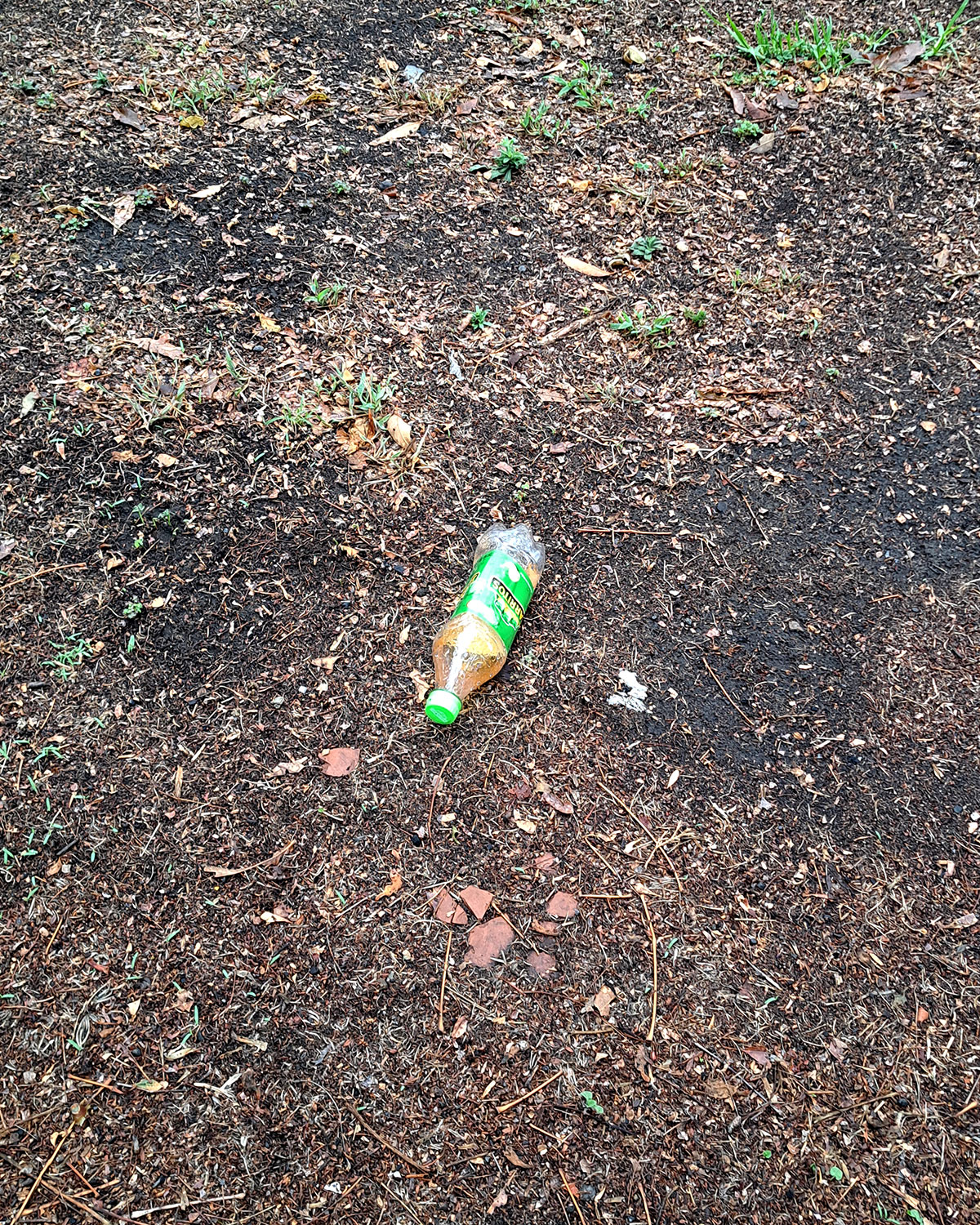 Pee bottles (Ananas)