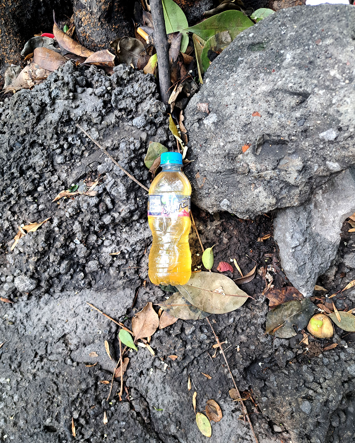 Pee bottles (Ananas)