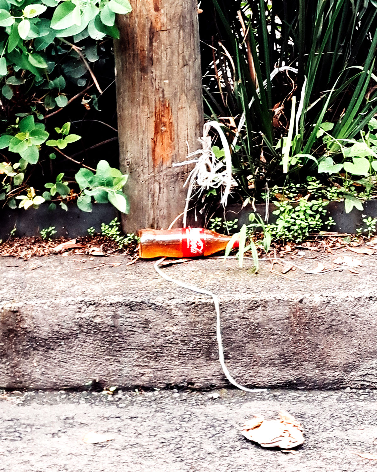 Pee bottles (Ananas)