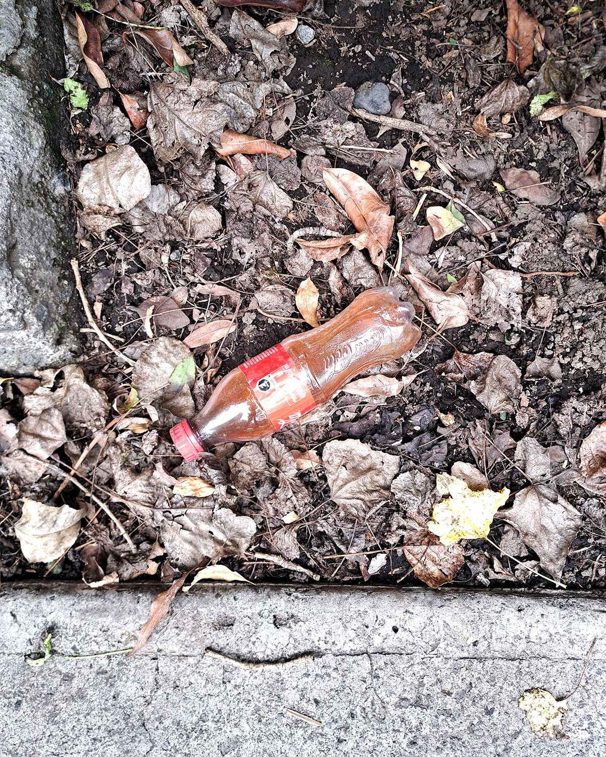 Pee bottles (Ananas)