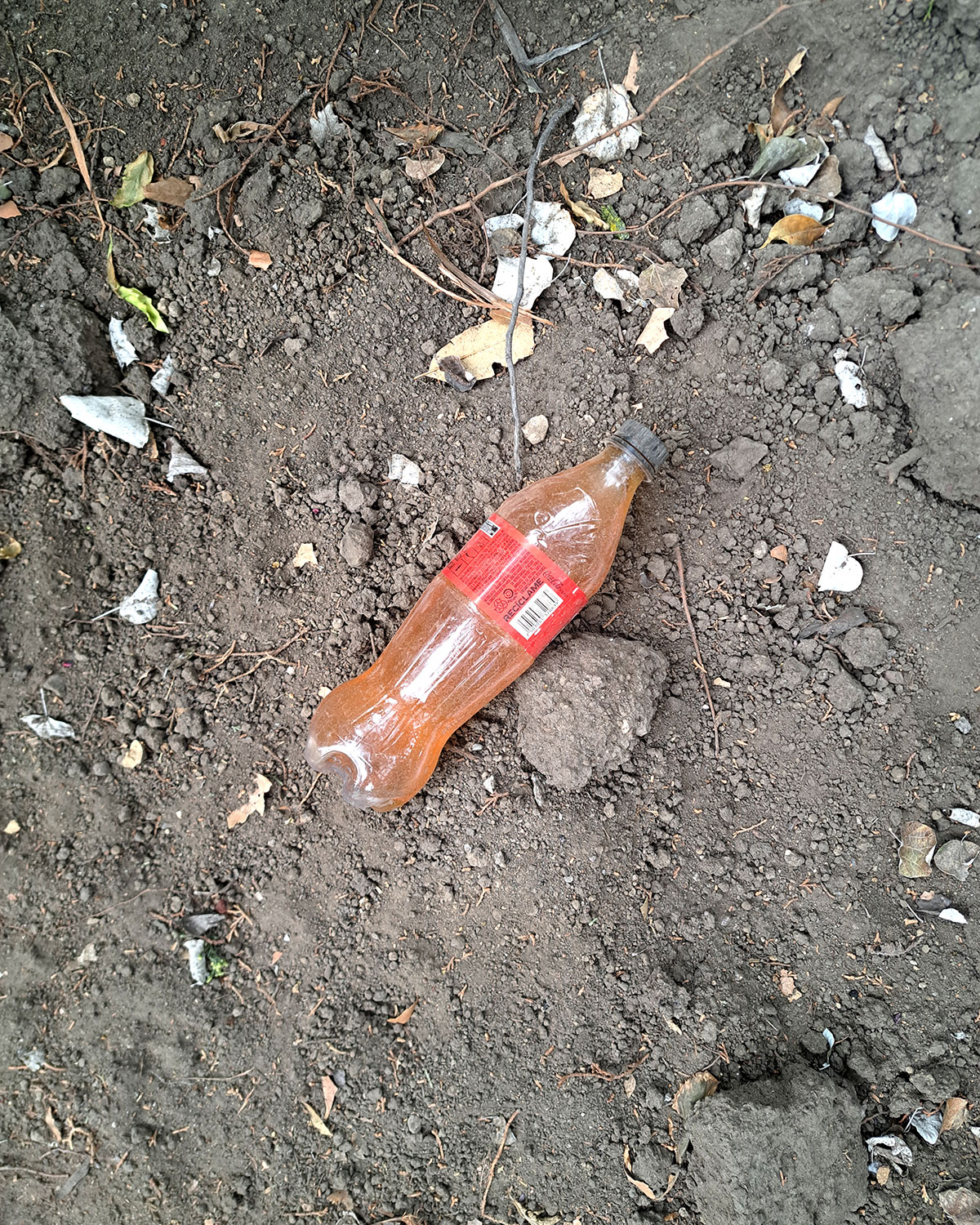 Pee bottles (Ananas)