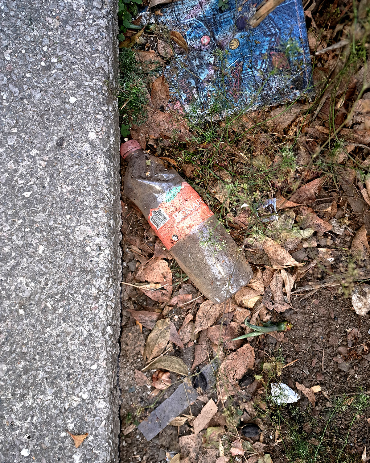 Pee bottles (Ananas)