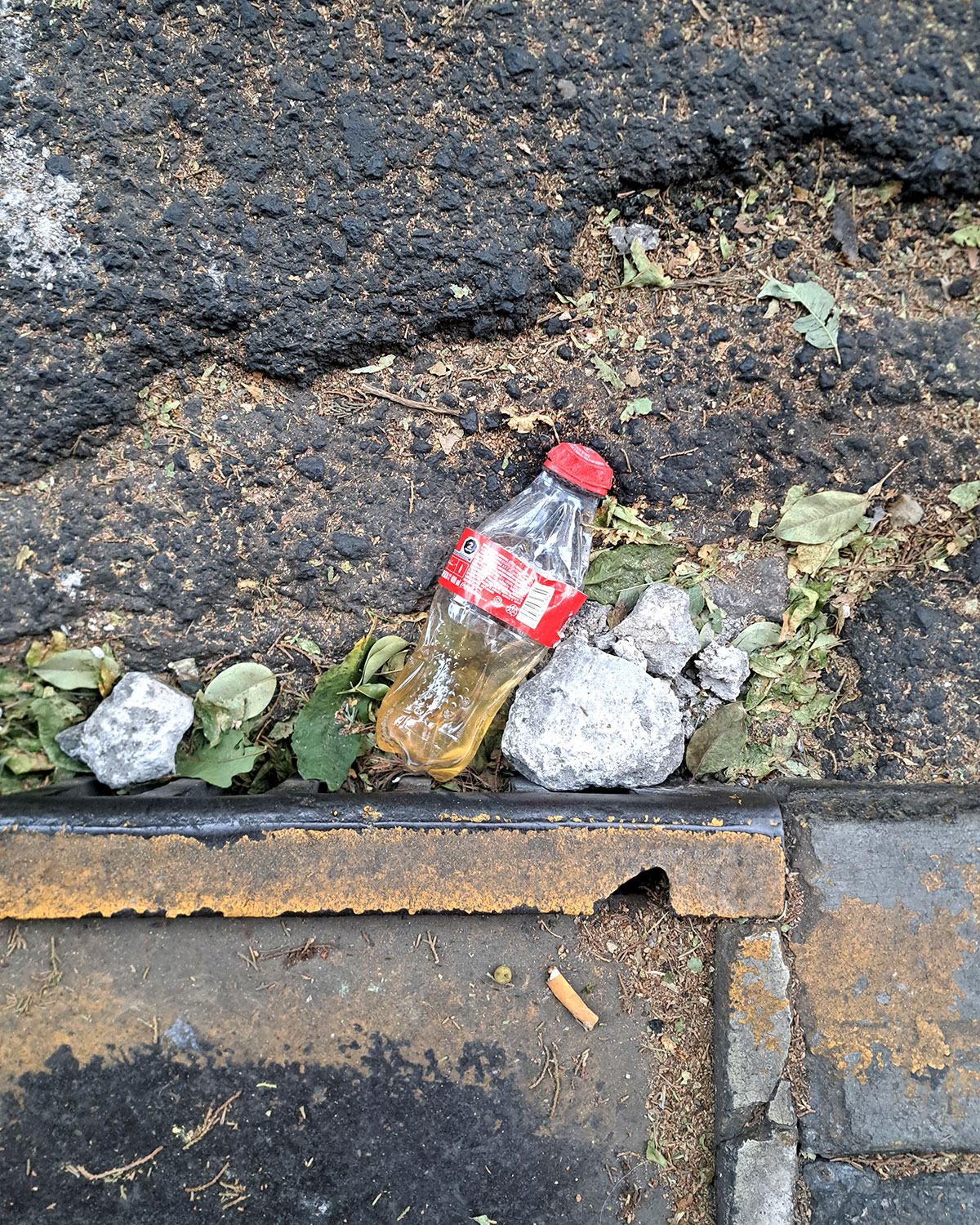 Pee bottles (Ananas)