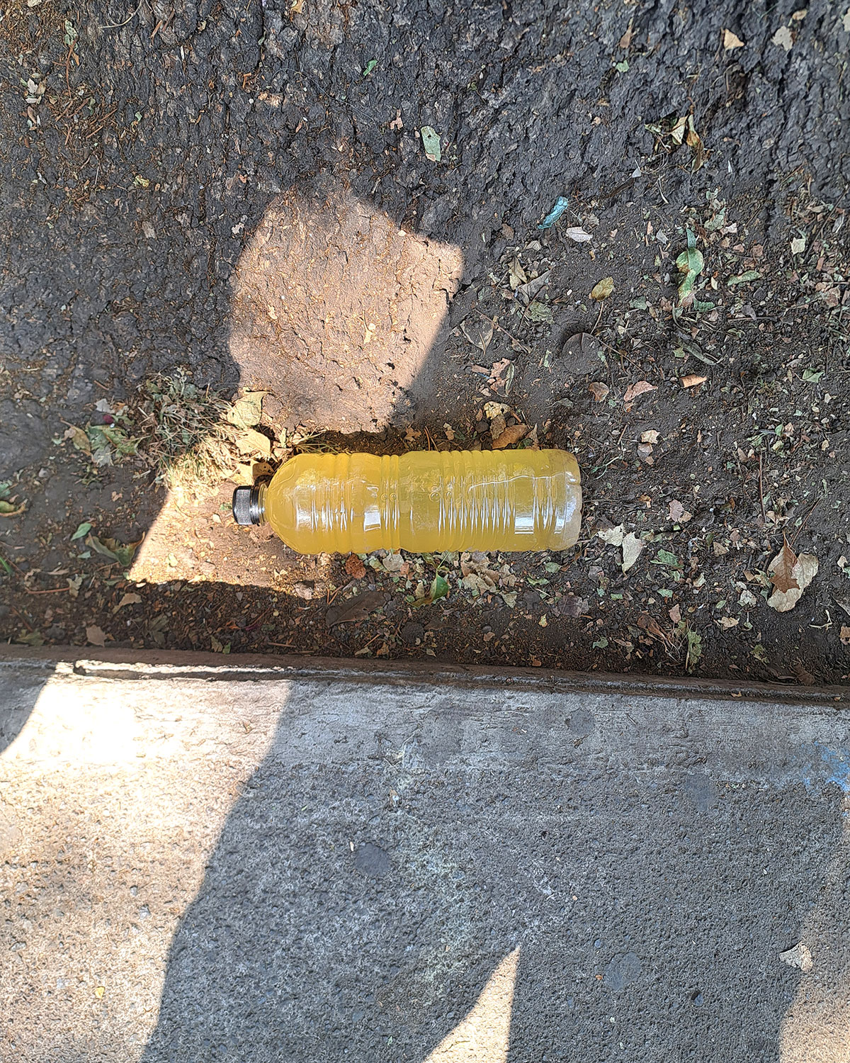 Pee bottles (Ananas)