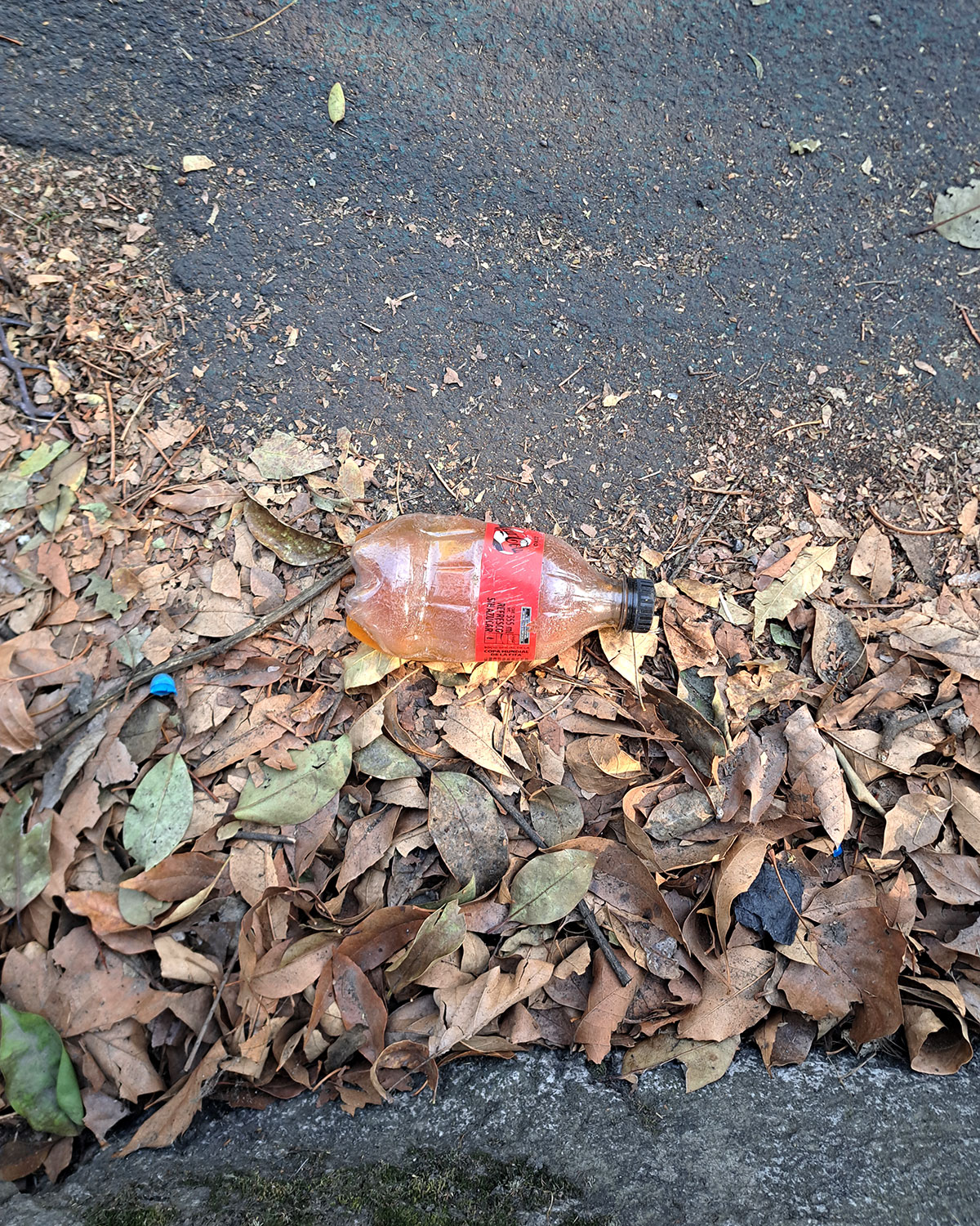 Pee bottles (Ananas)