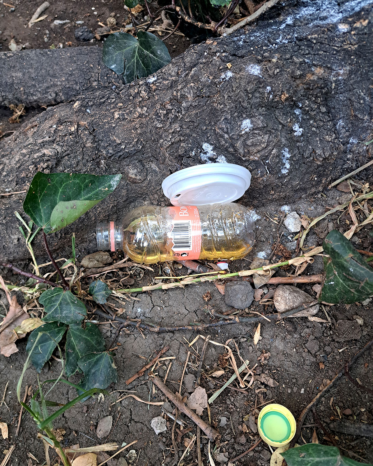 Pee bottles (Ananas)