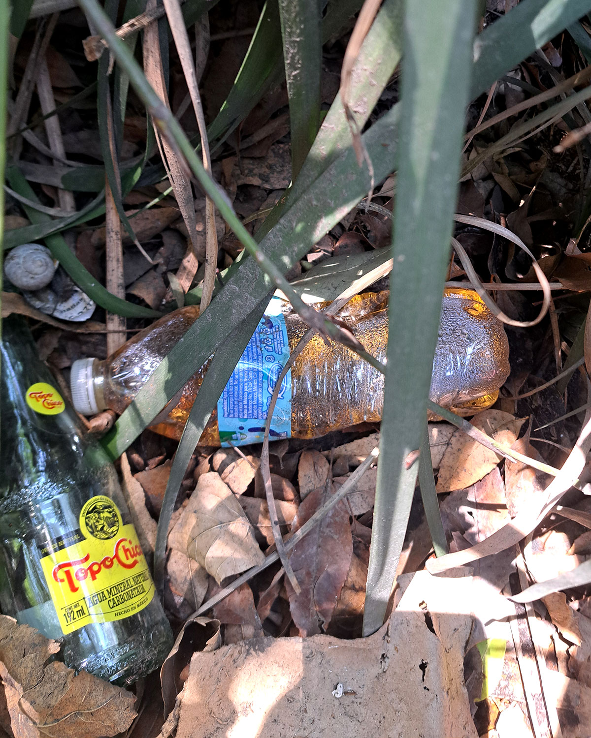 Pee bottles (Ananas)