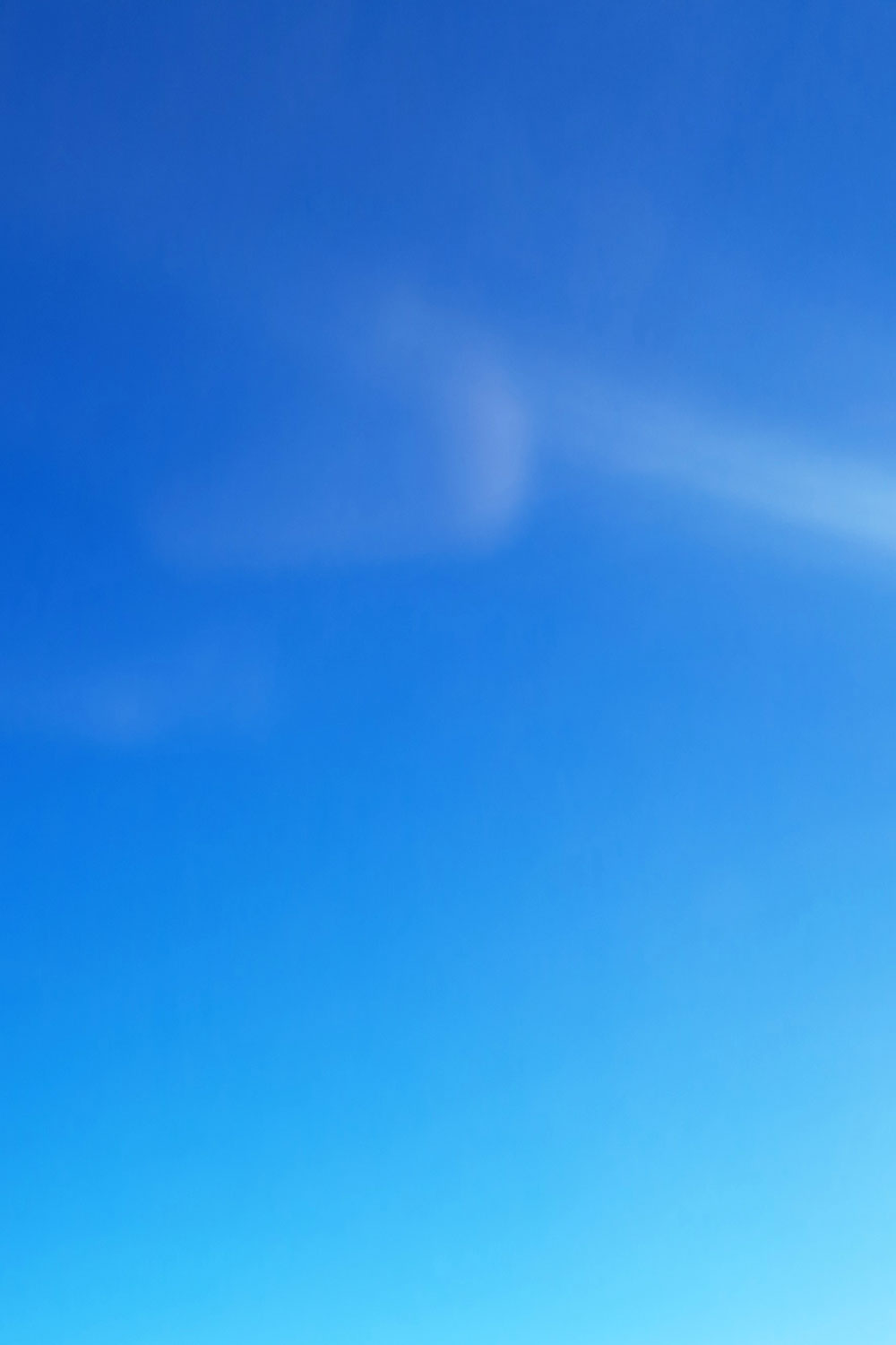 Discarded skies