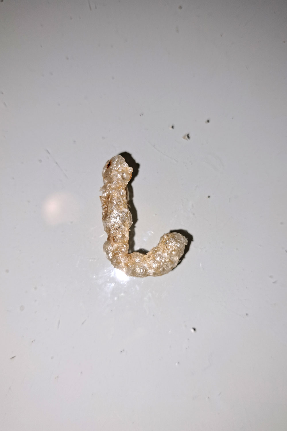 Fictional wednesday hooks photo journal