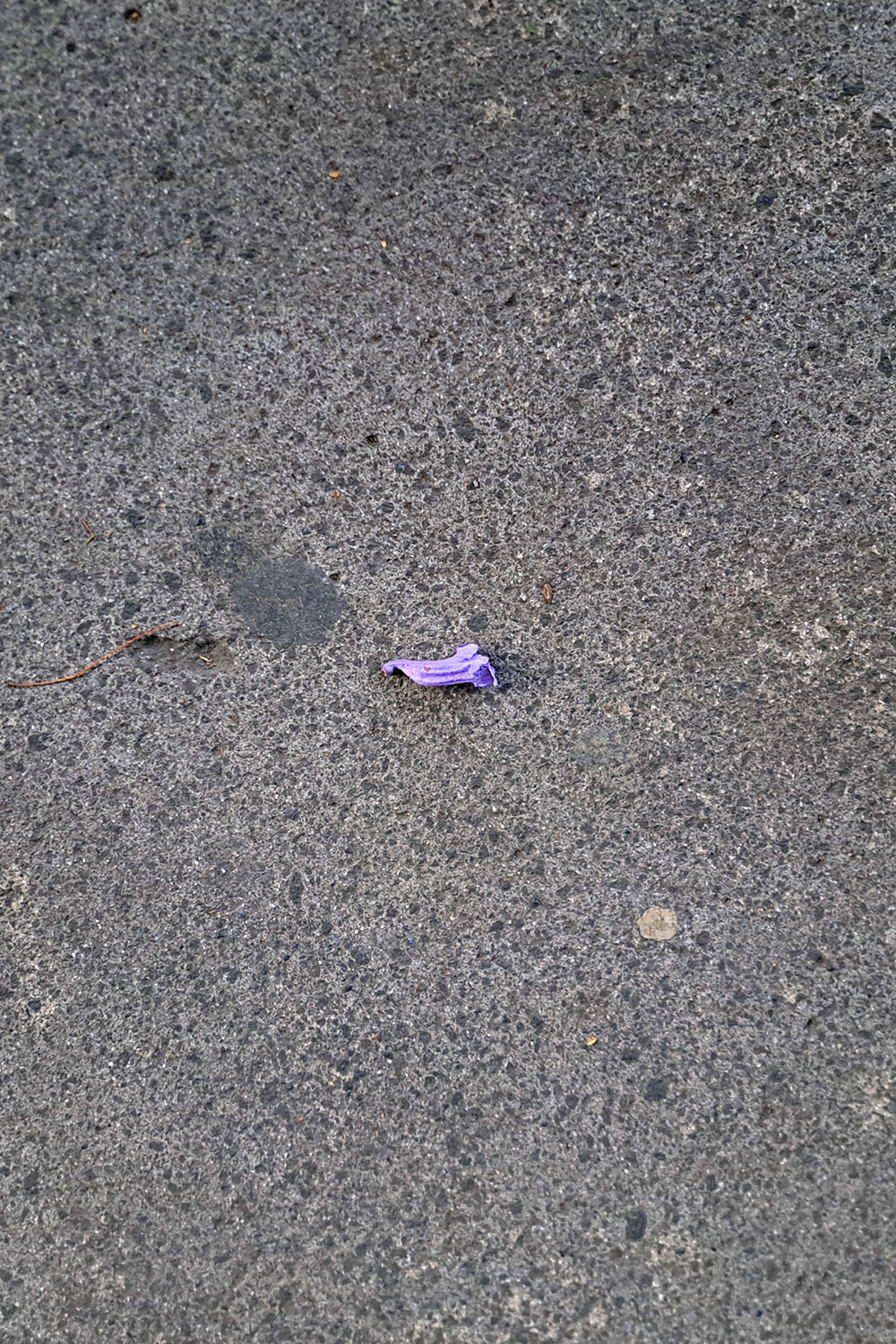 Flower, litter