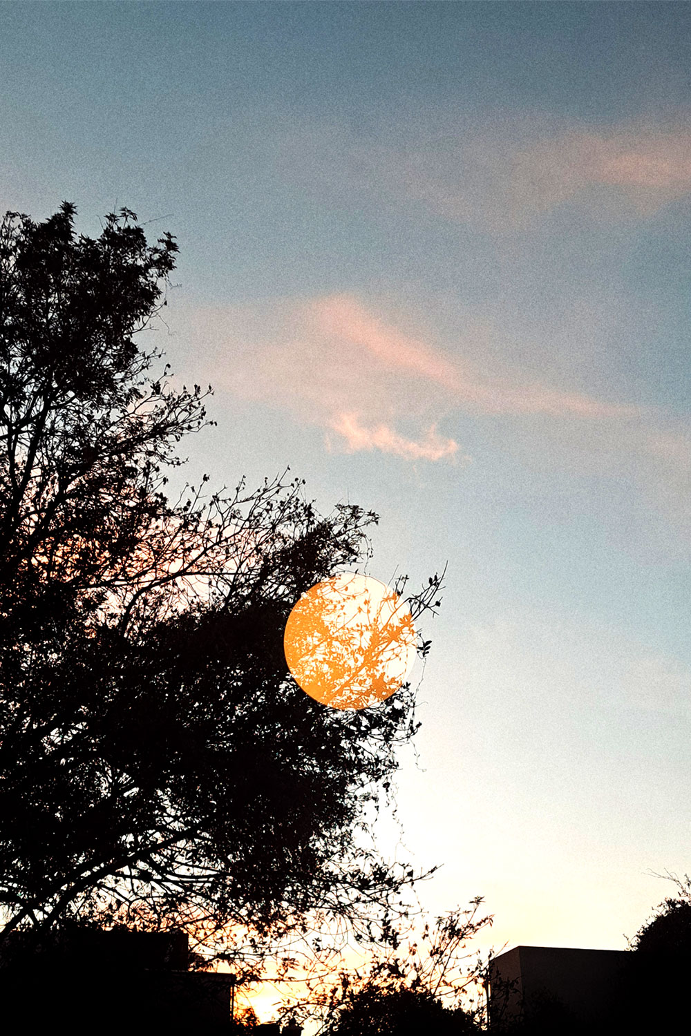 Lamp reflected (Banquet)