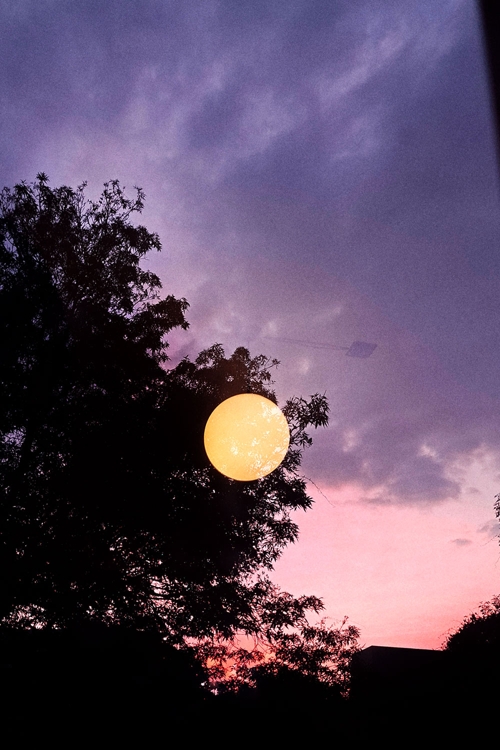 Lamp reflected (Banquet)