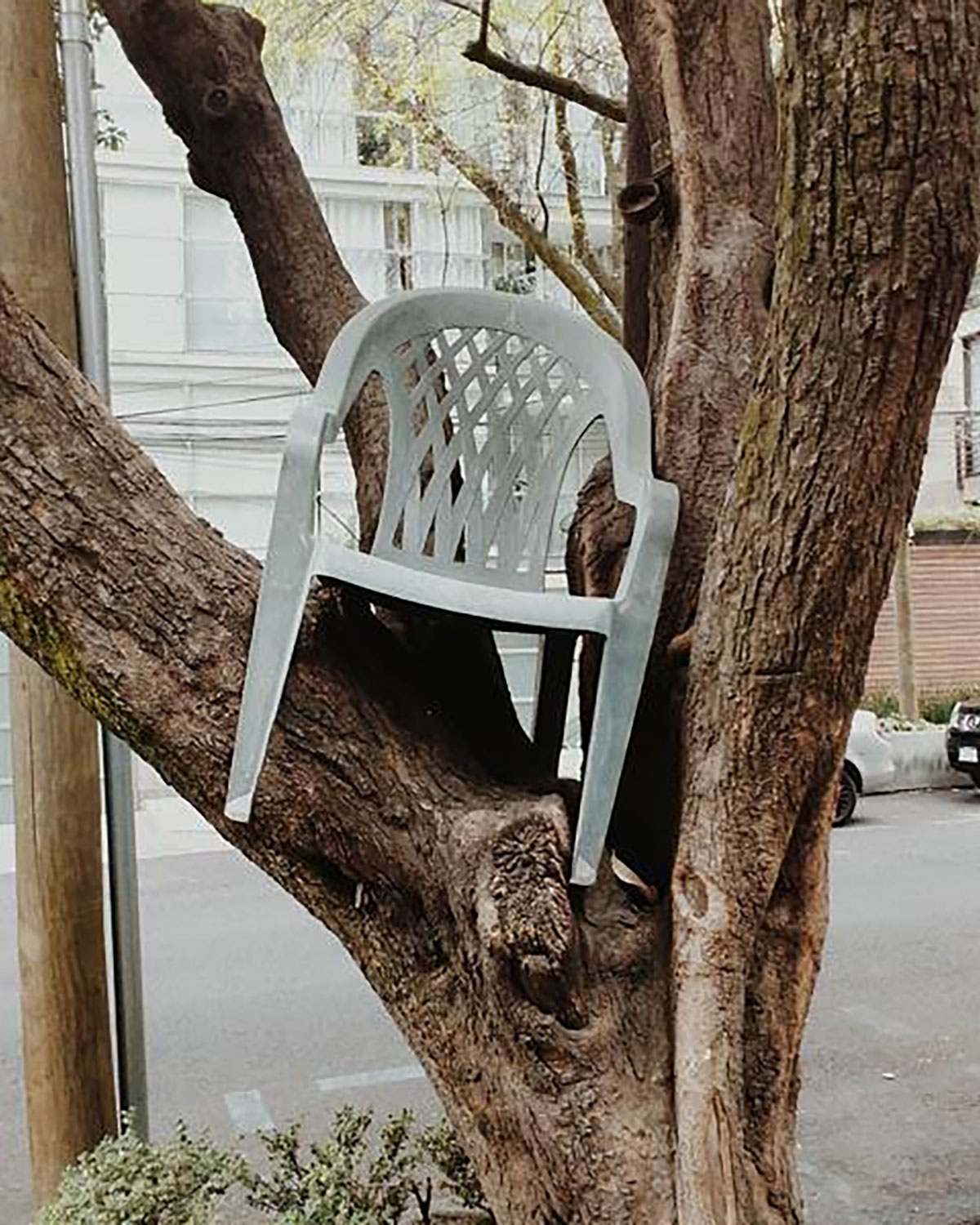 This is not a Chair photo journal