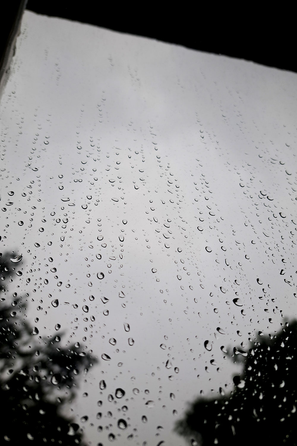 Raindrops