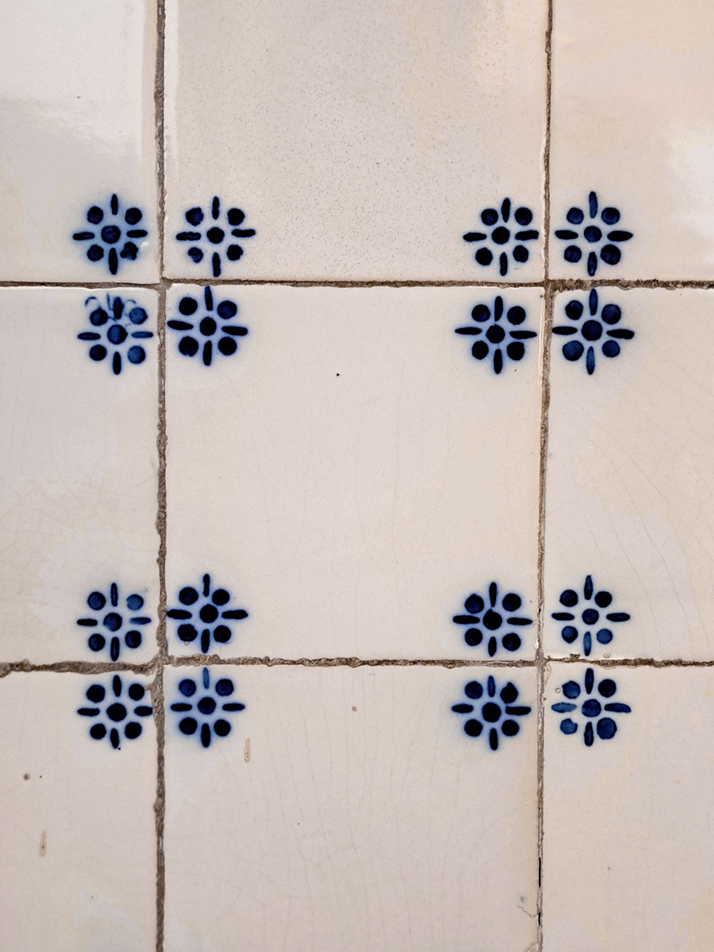 Random flowers series