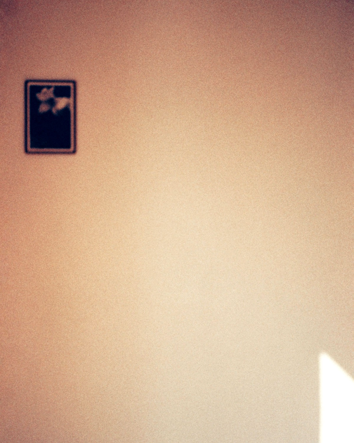 Random flowers series