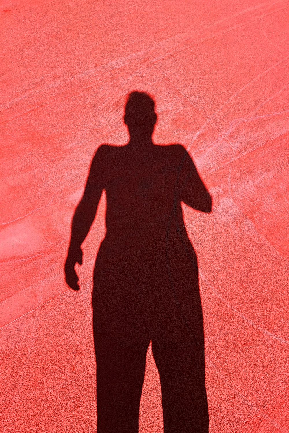 Self portraits