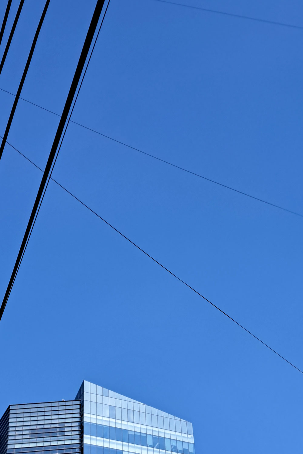 Skies, buildings and wires