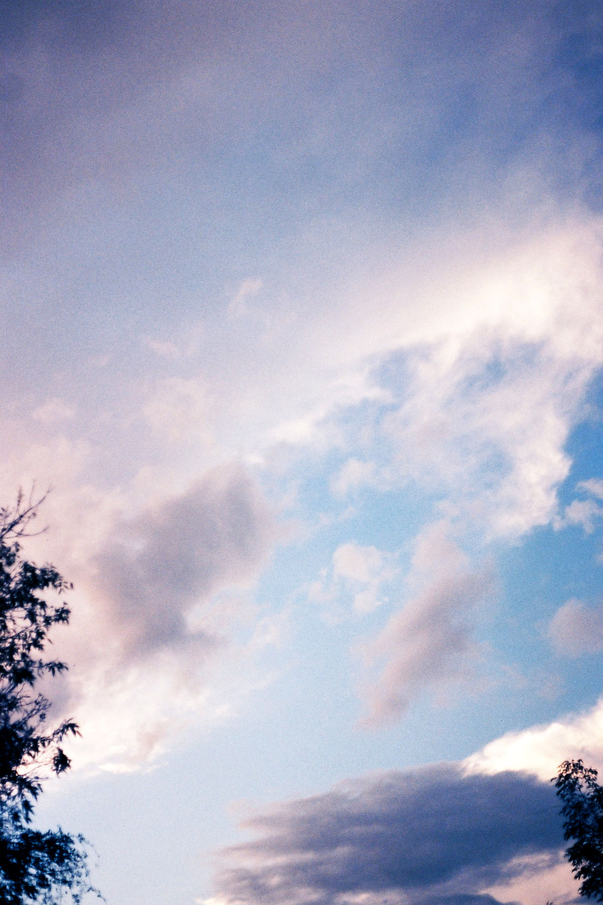 Skies, trees and clouds photos