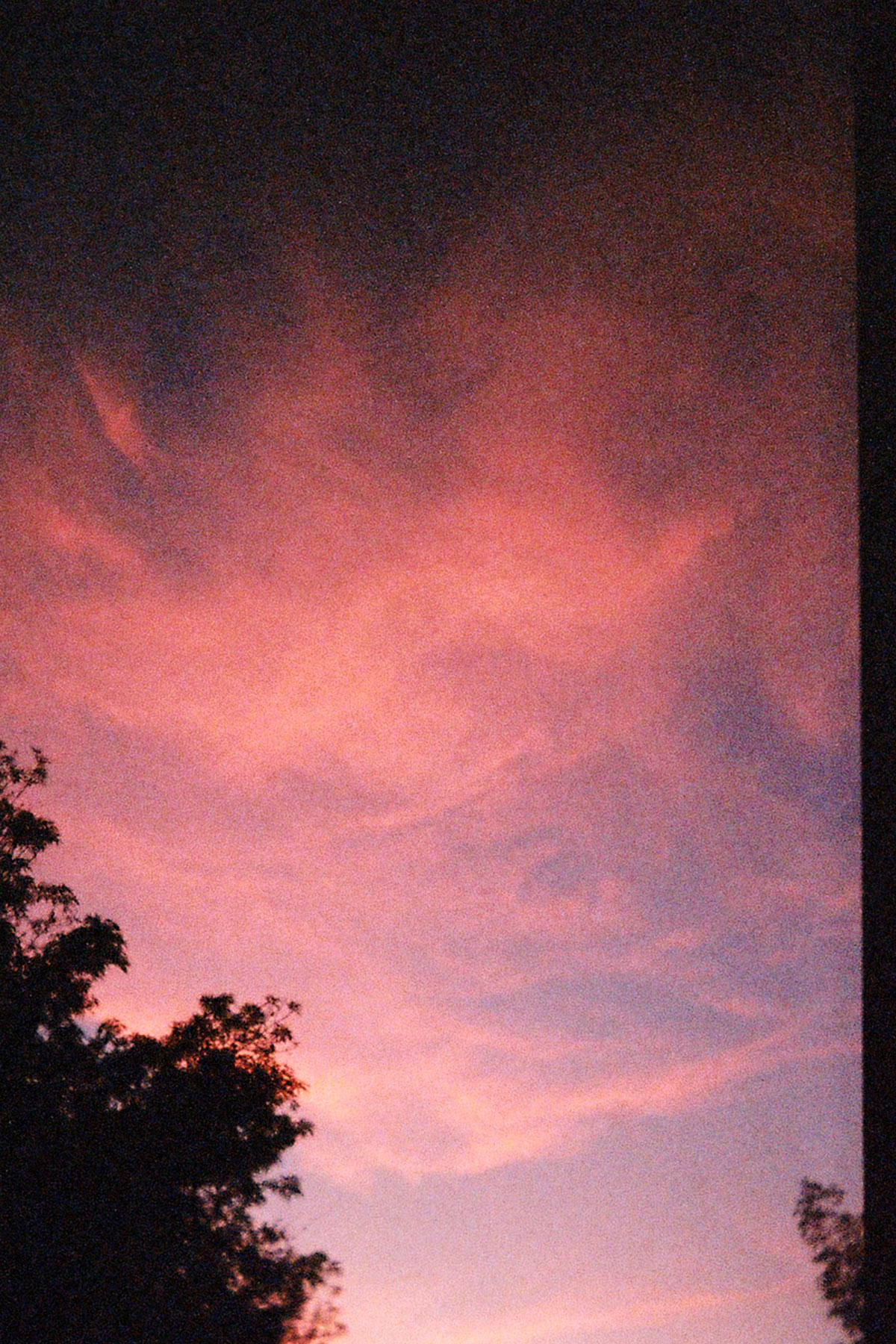 Skies, trees and clouds