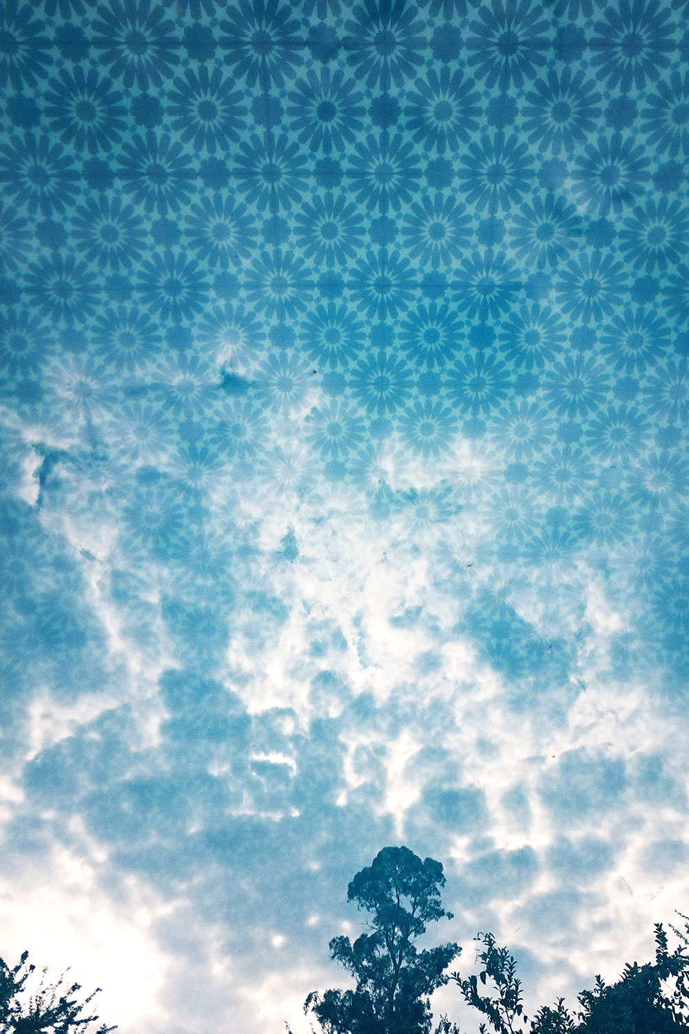 Skies, trees and clouds, reflected series