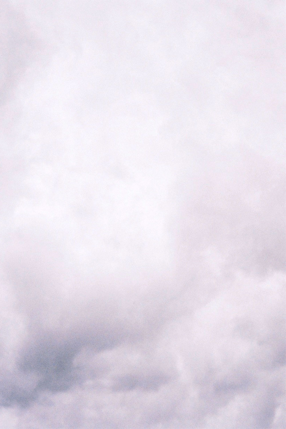 White things photos