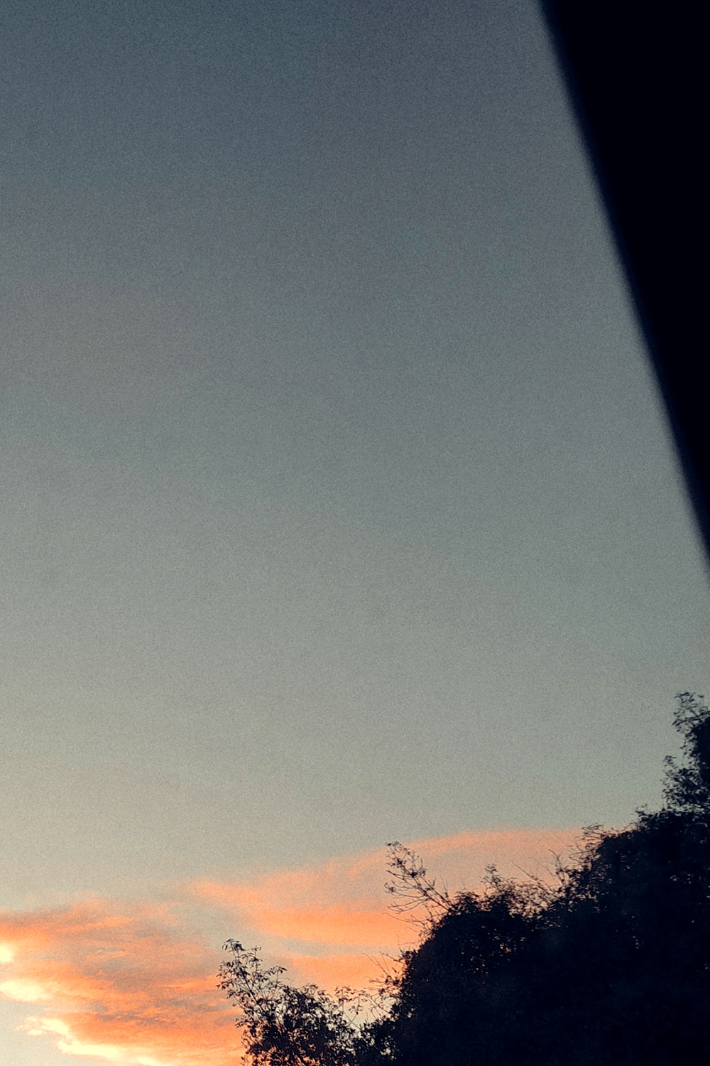 Weekly (almost) photos