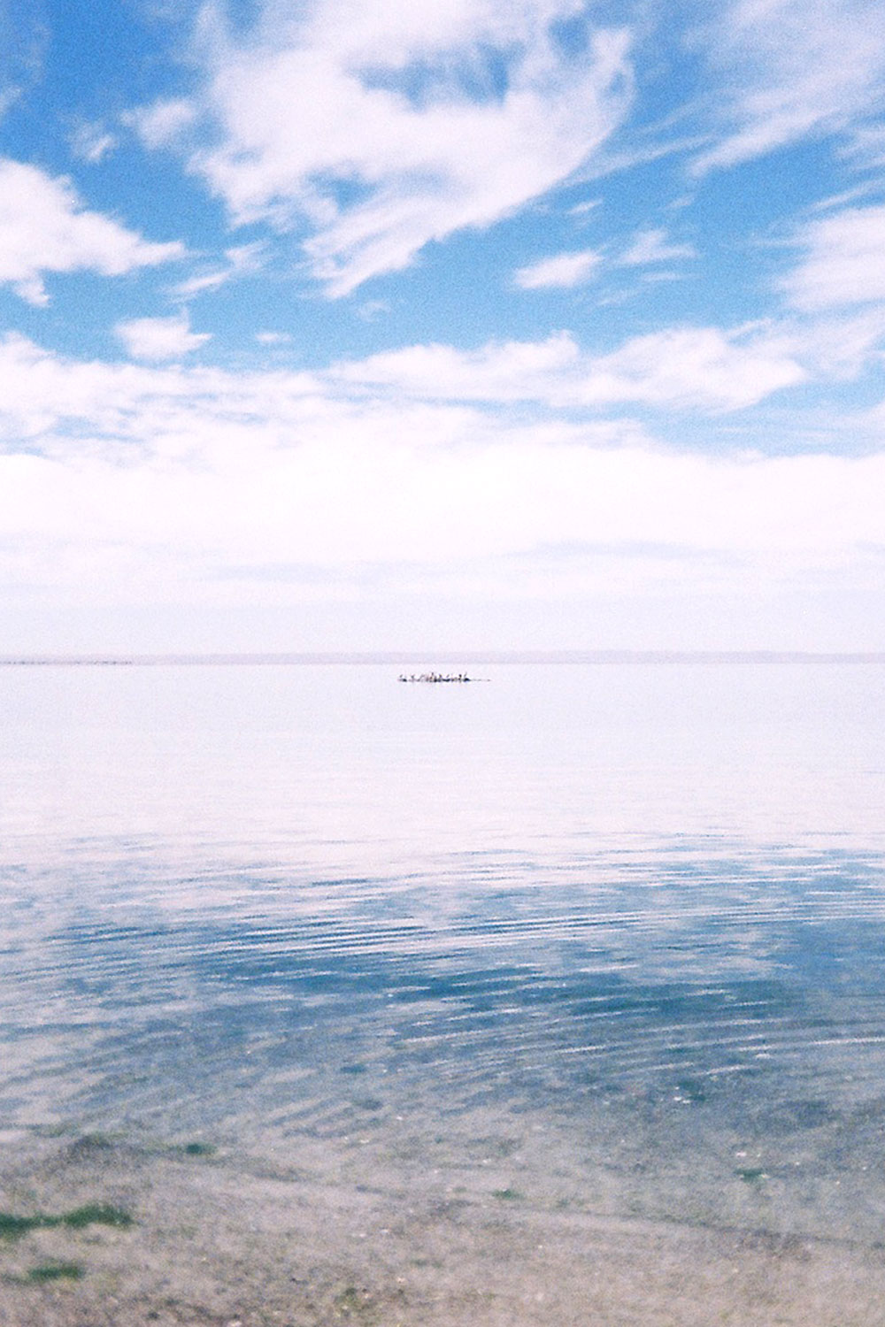 Weekly (almost), archive