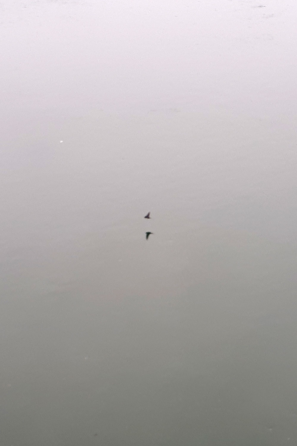 Weekly (almost), archive