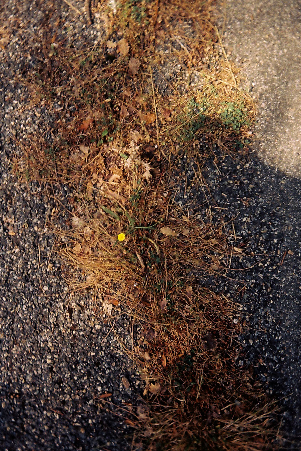 Weekly (almost), archive