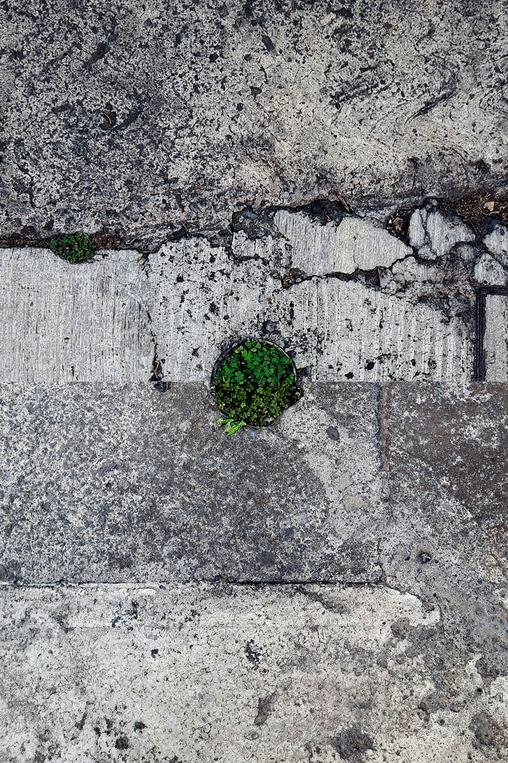 Poles, fragmented
